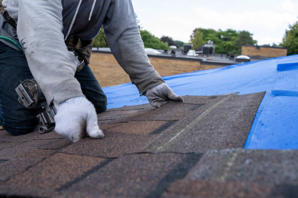 Best Emergency Roof Repair Services  in Dubach, LA